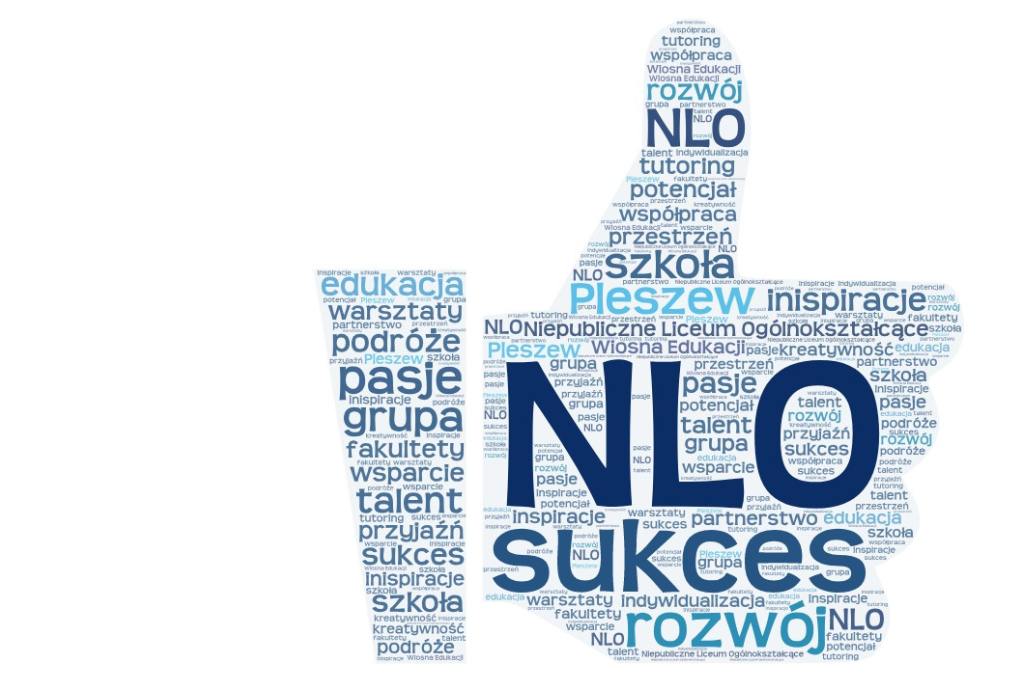 nasze wartości? sukces, pasje, potencjał, talent, wsparcie